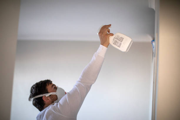 Best Office Mold Removal Services  in Haledon, NJ