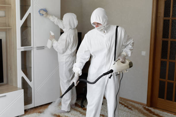 Certified Mold Removal in Haledon, NJ